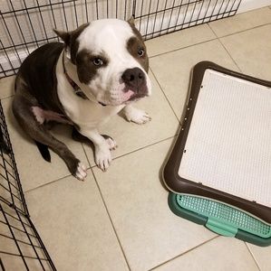 Meet your Posher, Blais